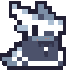 scholar_lizard